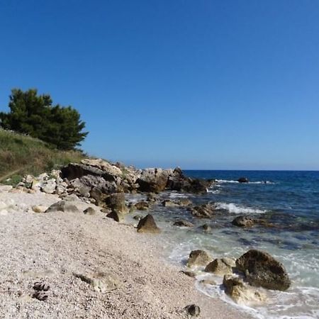 Villa Adamo Скопелло Екстер'єр фото